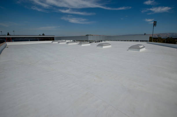 4 Ply Roofing in Freeland, MI